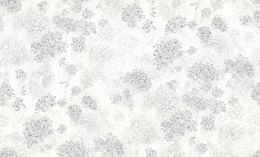 PL72155-14