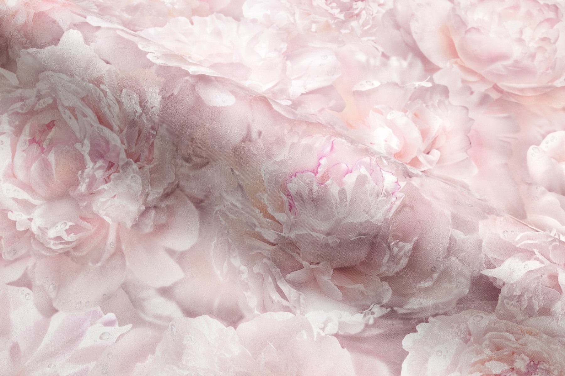 Макро-изображение 9 (группа 1)