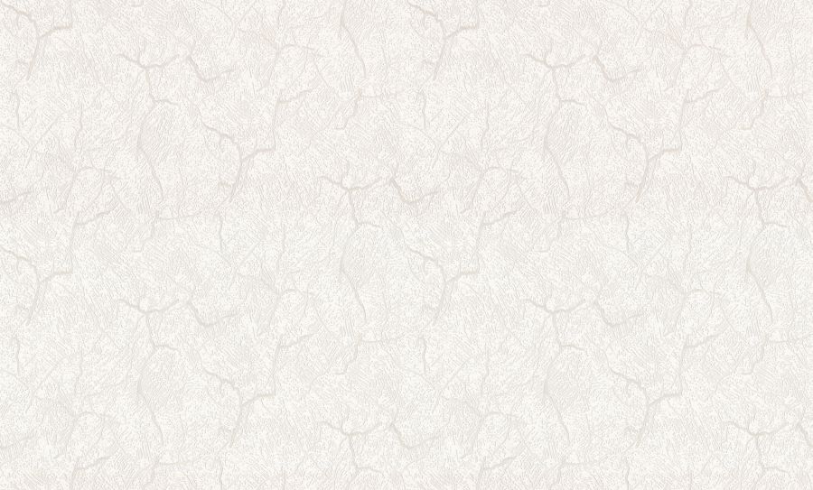 HC31160-12