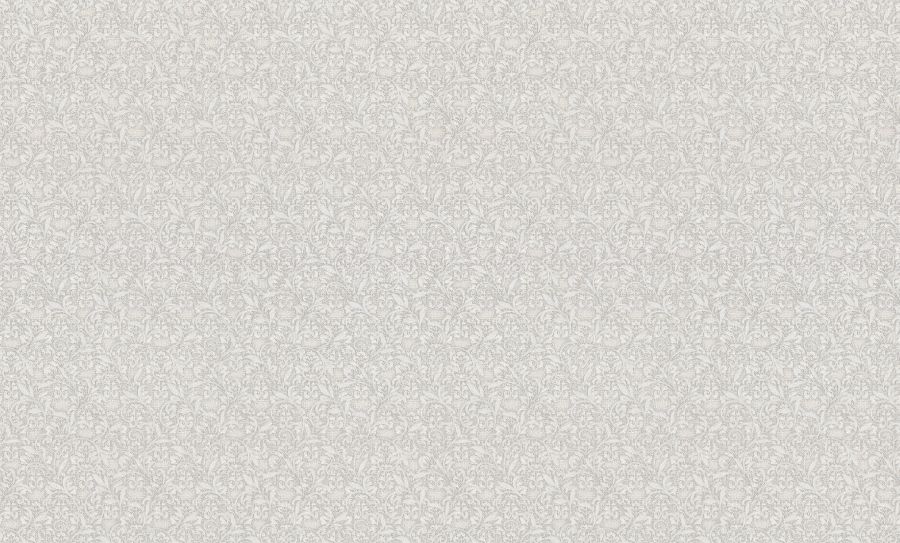 PP31081-14