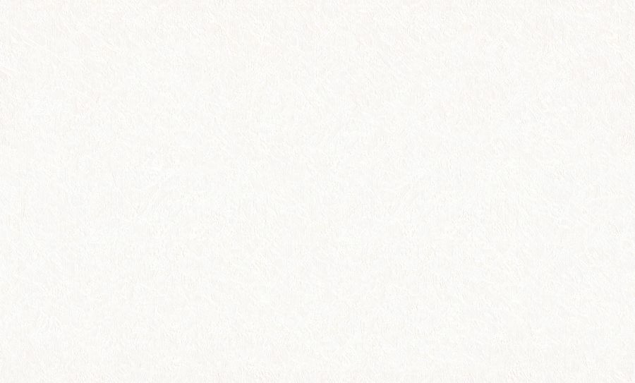 PP71881