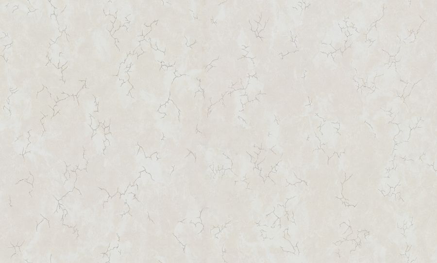 PP72111-21