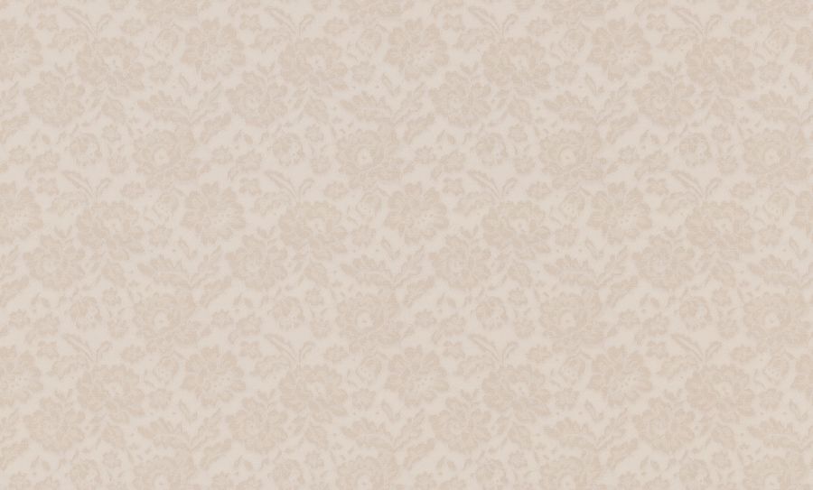 PL71562-24