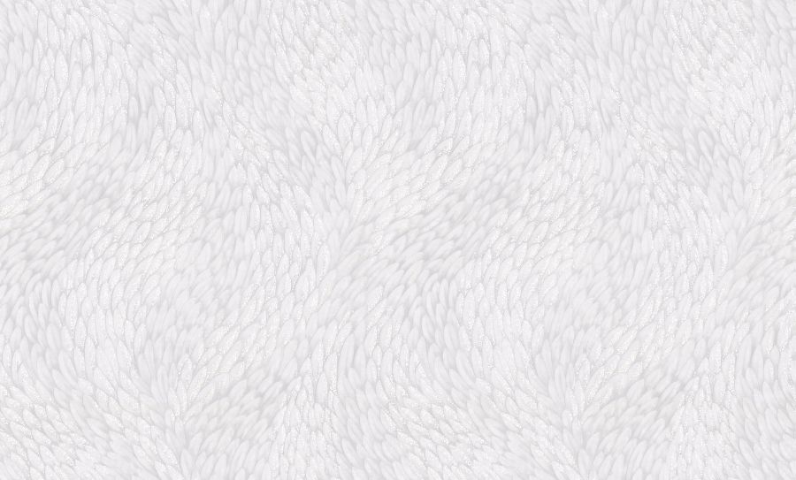 PC71761-11
