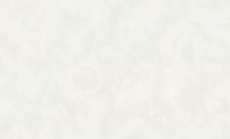 PP72194-11