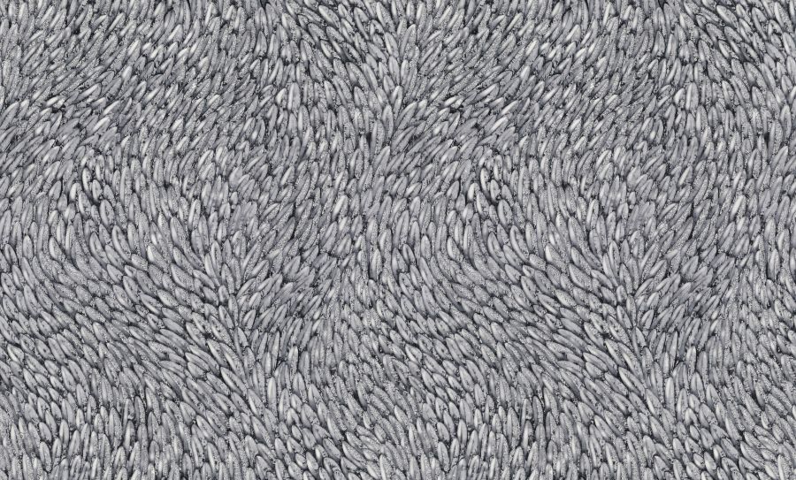 PC71761-44