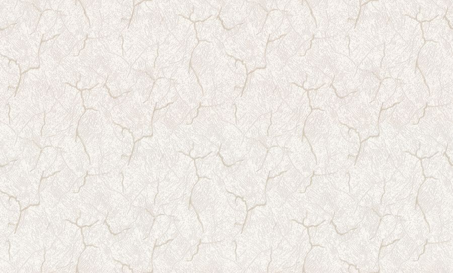 HC31160-21