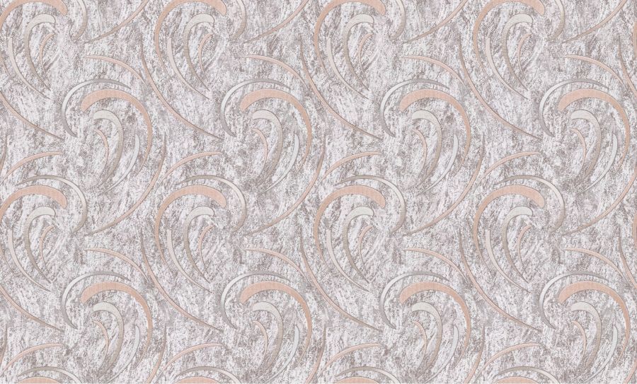 PP31117-81