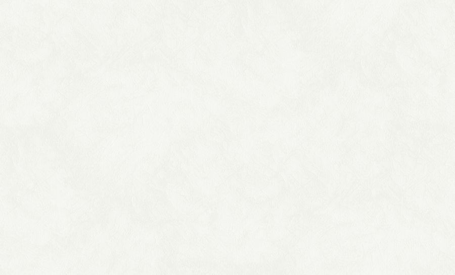 PP71881