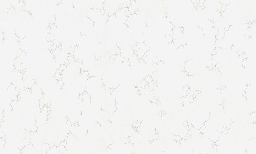 PP72111-11