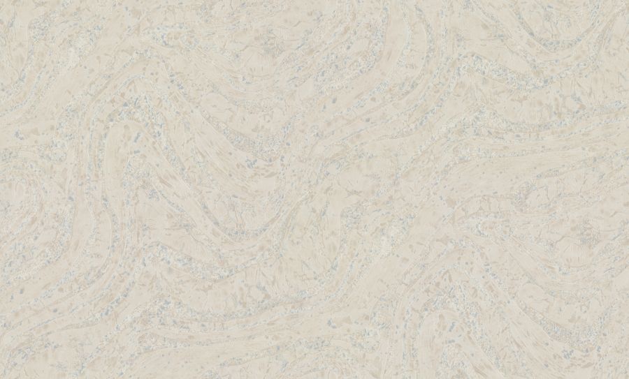 PP72153-22